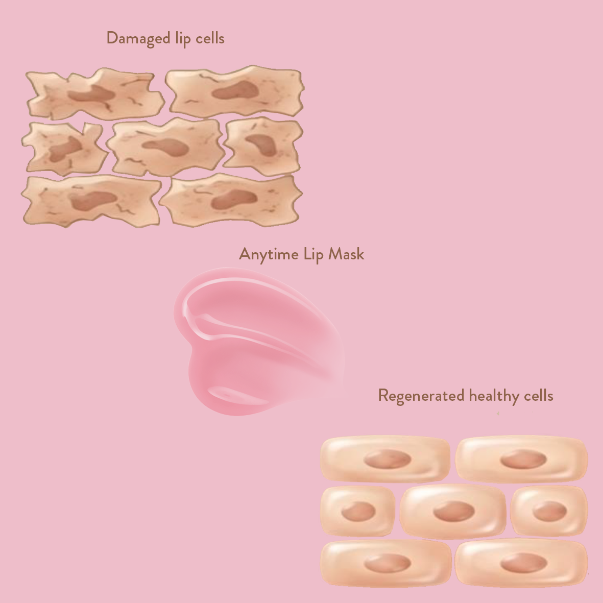Illustration of a lip mask labeled 'Anytime Lip Mask' with damaged and regenerated lip cells on a pink background.
