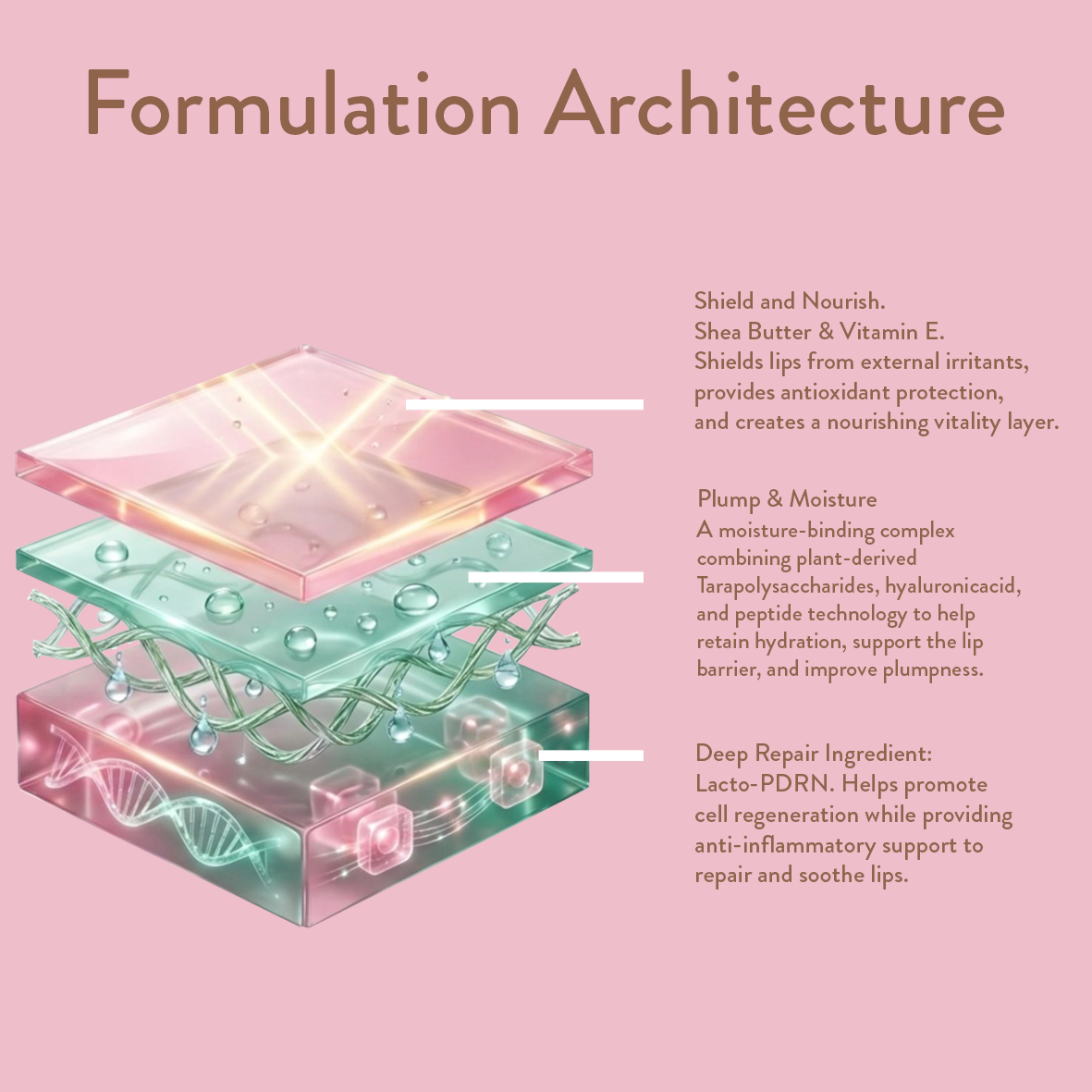 Diagram of lip care formulation architecture with layers and text on a pink background